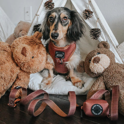 Dog Four Piece Bundle - Teddy